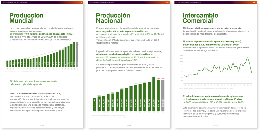 aguacate PANORAMA 2026 aguacate PANORAMA 2026